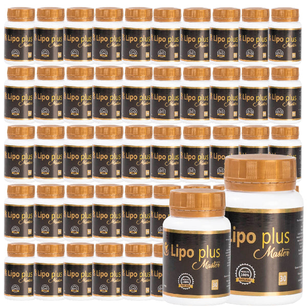 Lipo Plus Master - Kit 50 Unidades