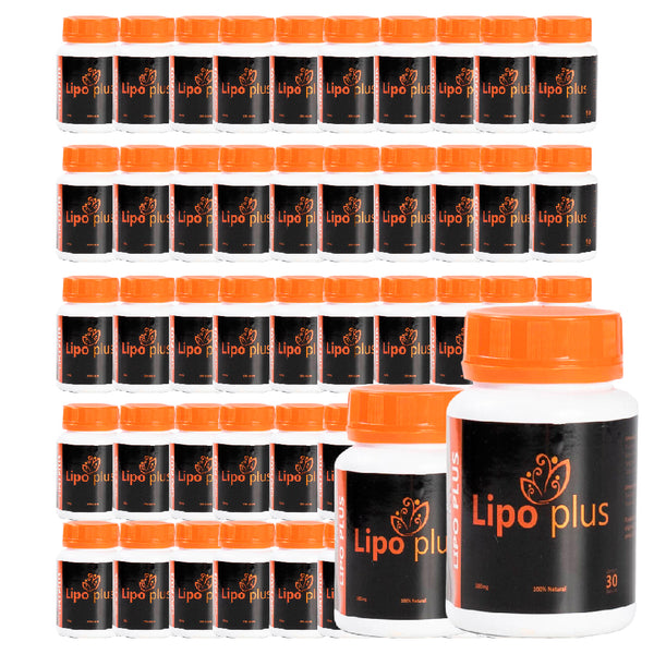 Lipo Plus - Kit 50 Unidades
