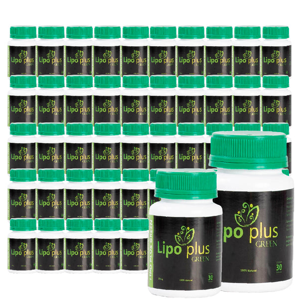 Lipo Plus Green - Kit 50 Unidades